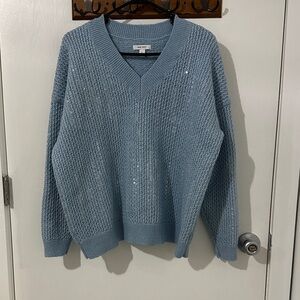 Light Blue V-Neck Knit Sweater with knitted Sequins